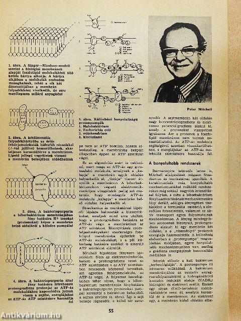 Természet Világa 1979. február