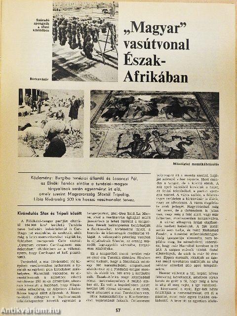 Természet Világa 1979. február