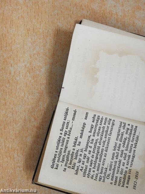 A szerelmes levél (minikönyv)