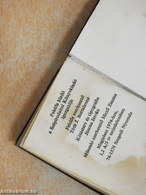 A szerelmes levél (minikönyv)