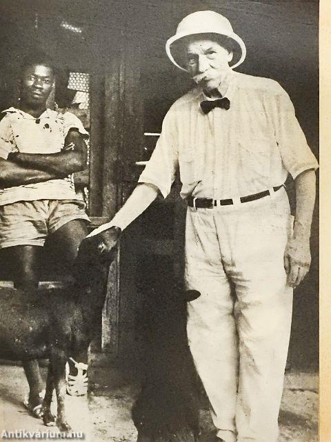 IPM 1984. január-december