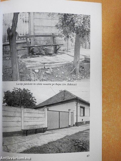 A magyarországi románok néprajza 18. 