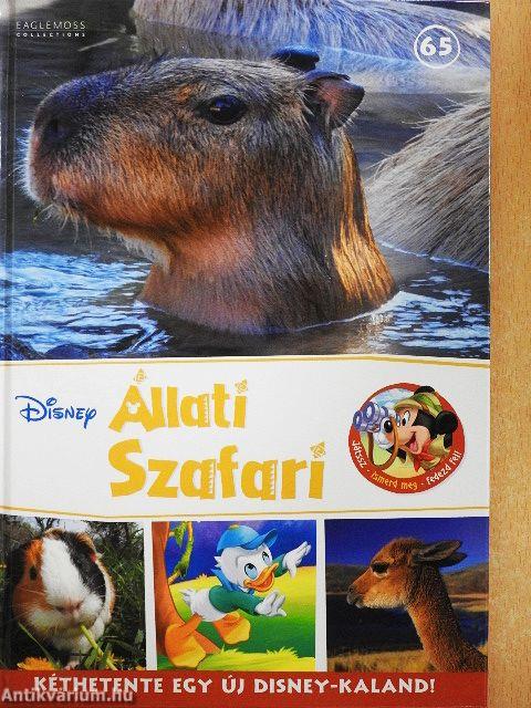 Disney Állati Szafari 65.