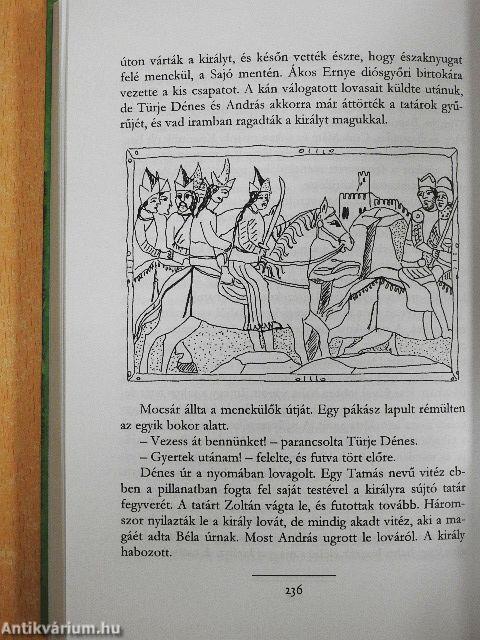 Az ezüstkardú vitéz