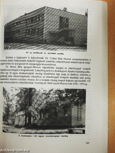 A székesfehérvári Szent György Kórház története