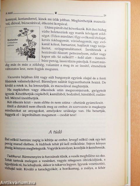 Lajos atya tanácsai