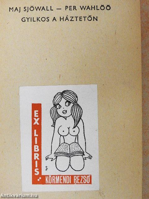 Gyilkos a háztetőn