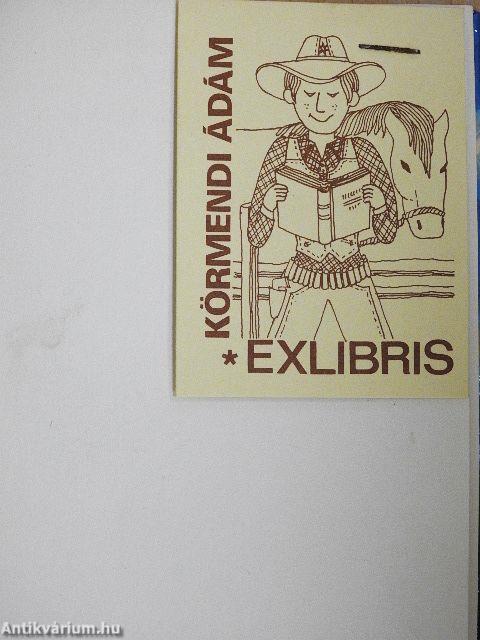 A huszti beteglátogatók