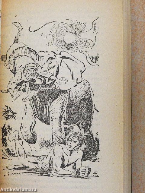 Tarzan a dzsungel ura