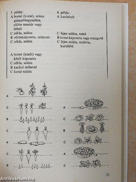 Öngyógyító kiskert