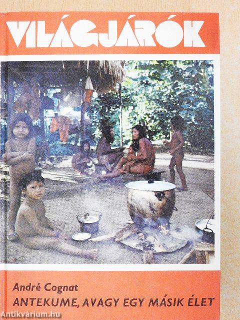 Antekume, avagy egy másik élet