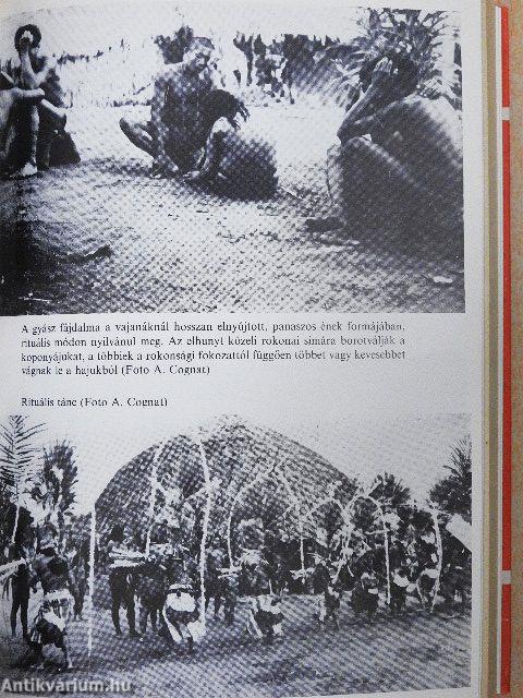 Antekume, avagy egy másik élet