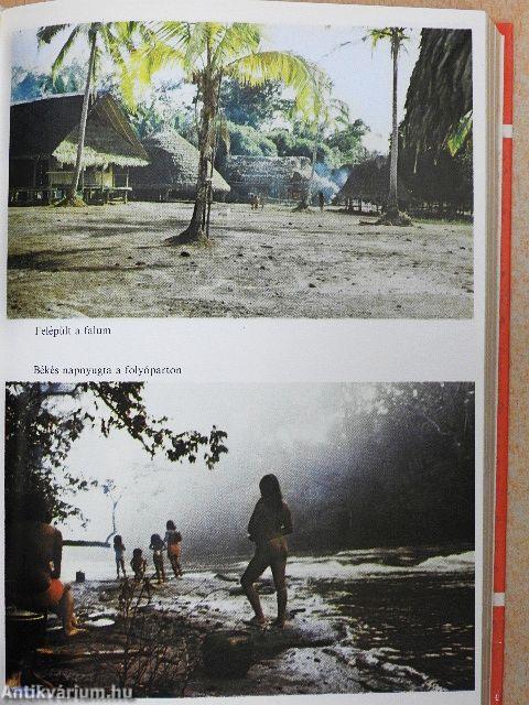 Antekume, avagy egy másik élet