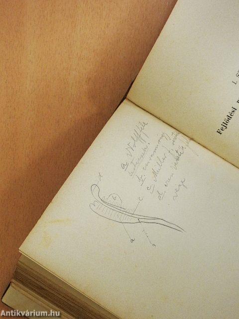 A gynaecologia alapvonalai atlaszszal (rossz állapotú)