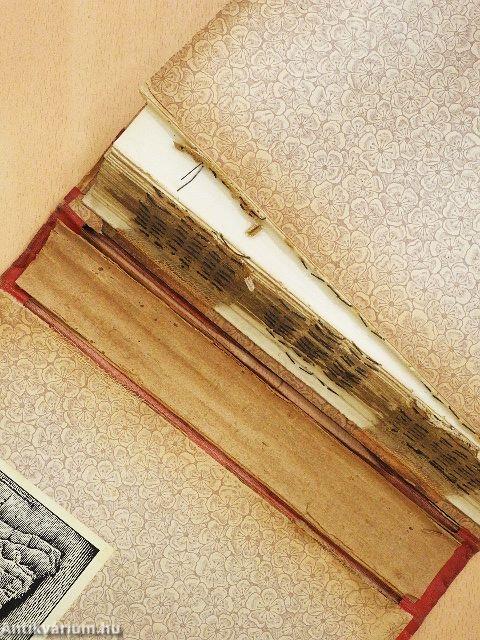 Senki fia (rossz állapotú)