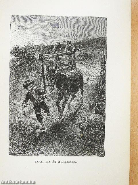 Senki fia (rossz állapotú)