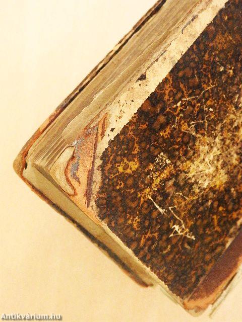 A rómaiak története VII-VIII. (töredék) (rossz állapotú)