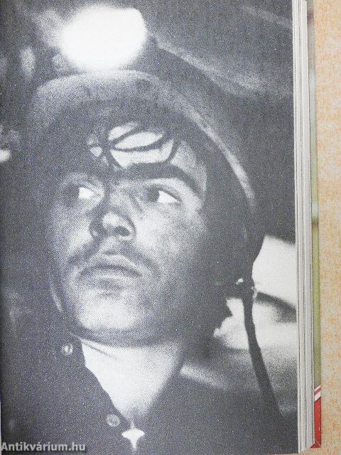 Holtomiglan? Holtodiglan?