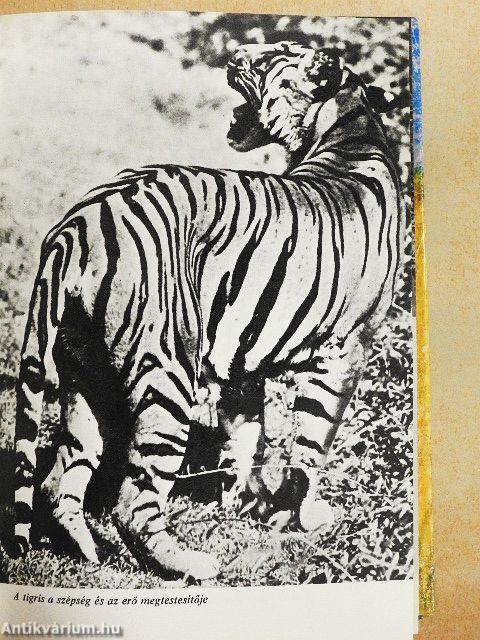 Nagyvadak - közelről