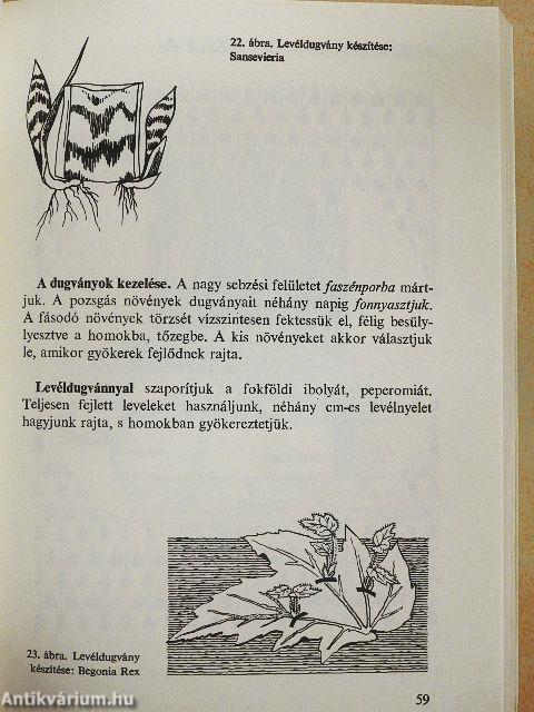 1000 tanács sorozatunk kedvelőinek