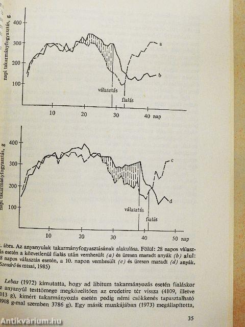 A házinyúl gyakoribb fialtatása