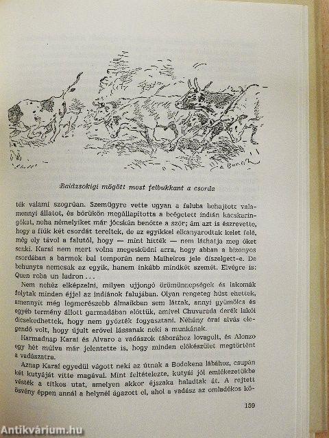 Karaí Pukú