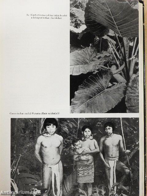 Közép- és Dél-Amerika