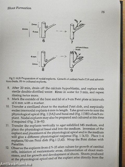 Plant Cell and Tissue Culture