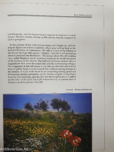 With Jesus through Galilee according to the fifth Gospel