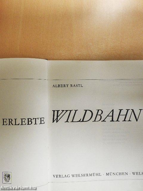Erlebte Wildbahn