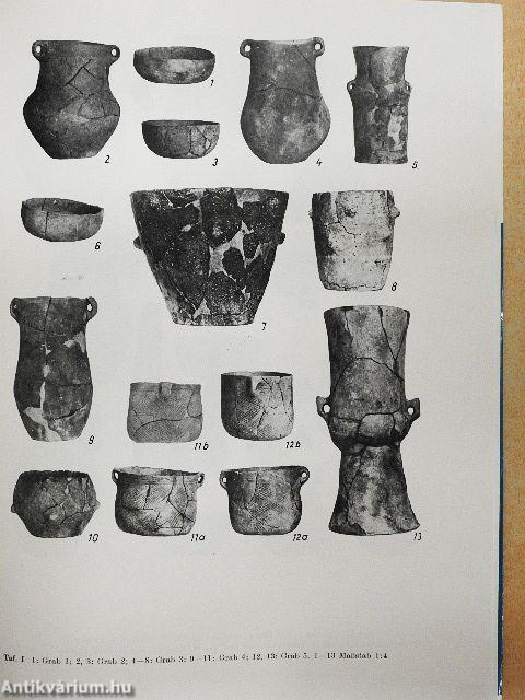 Das Kupferzeitliche Gräberfeld  von Tiszavalk-Kenderföld