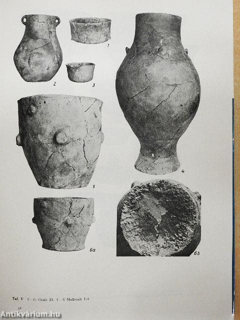 Das Kupferzeitliche Gräberfeld  von Tiszavalk-Kenderföld