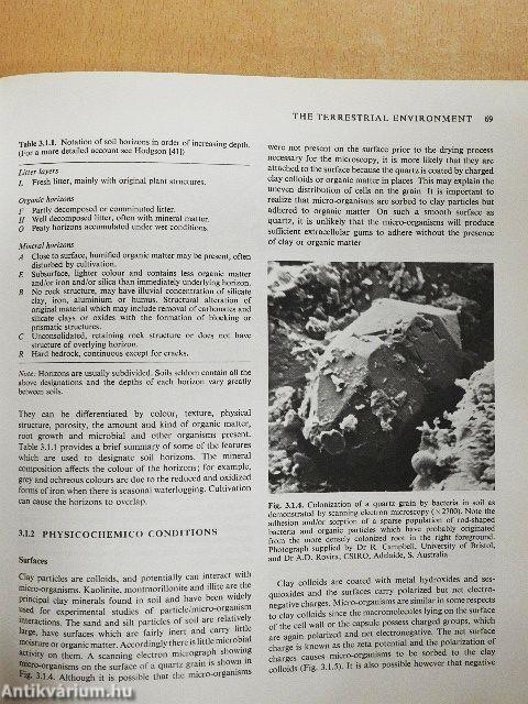 Microbial Ecology: A Conceptual Approach