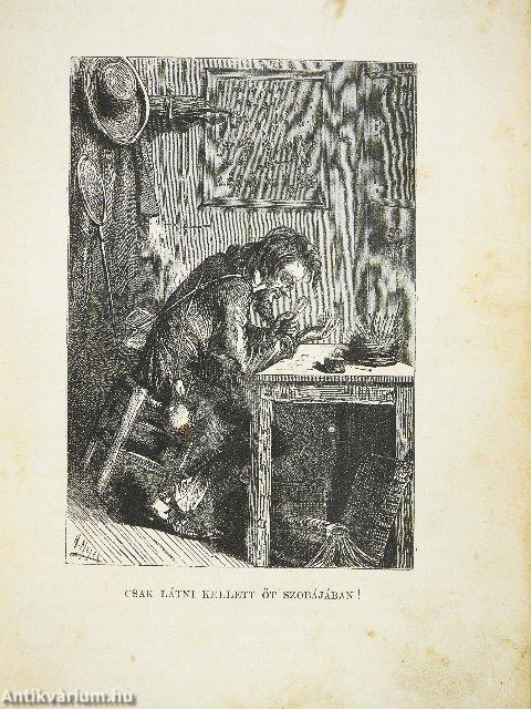 Tizenötéves kapitány (rossz állapotú)