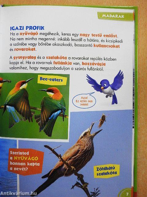 Disney Állati Szafari 67.