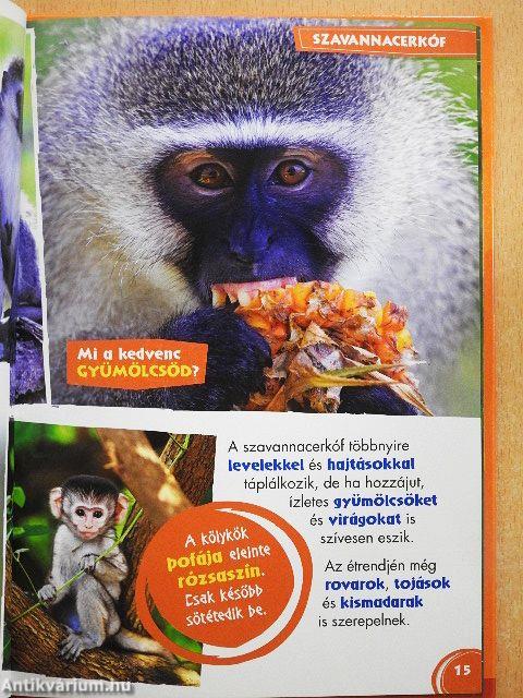 Disney Állati Szafari 68.