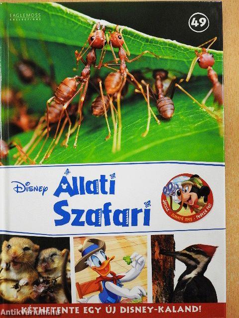 Disney Állati Szafari 49.