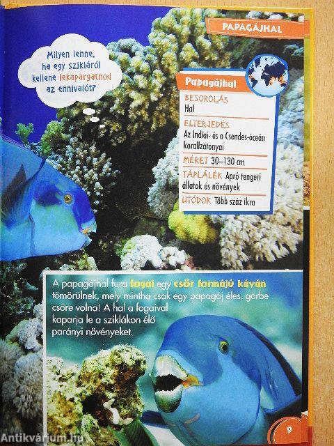 Disney Állati Szafari 20.