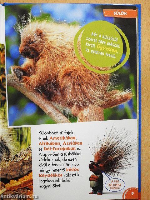 Disney Állati Szafari 39.