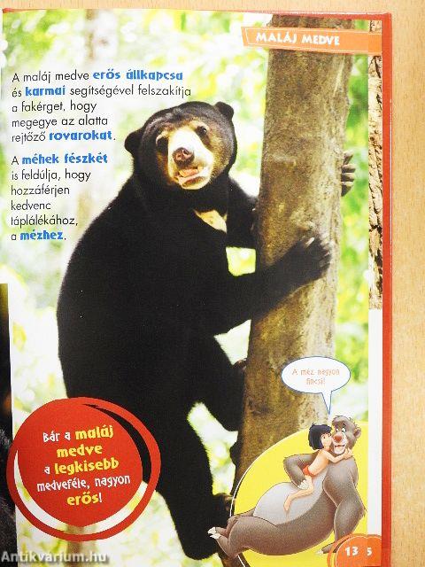 Disney Állati Szafari 61.