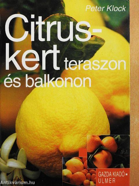Citruskert teraszon és balkonon