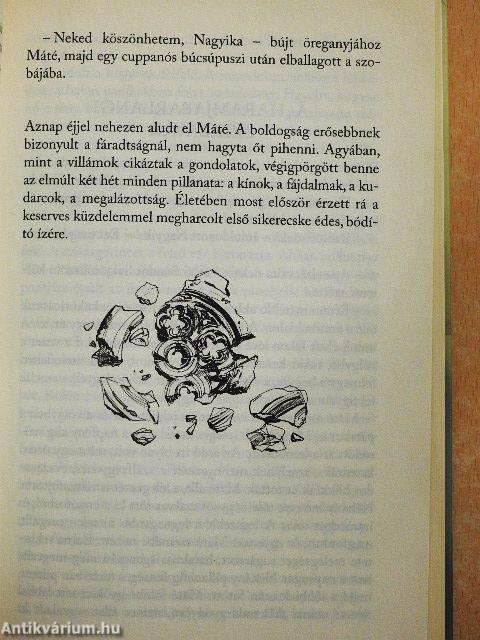 A kelyhesek titkos temploma