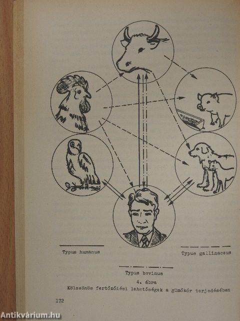 Mezőgazdasági üzemi ápolói tananyag II. 