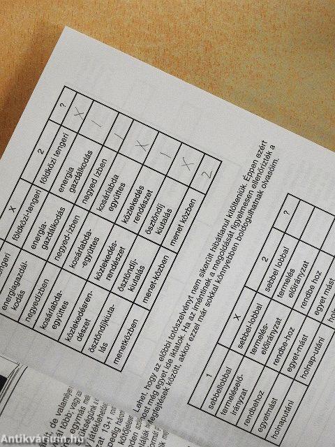 Anyanyelvünk játékai