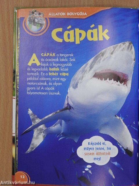 Disney Állati Szafari 41.