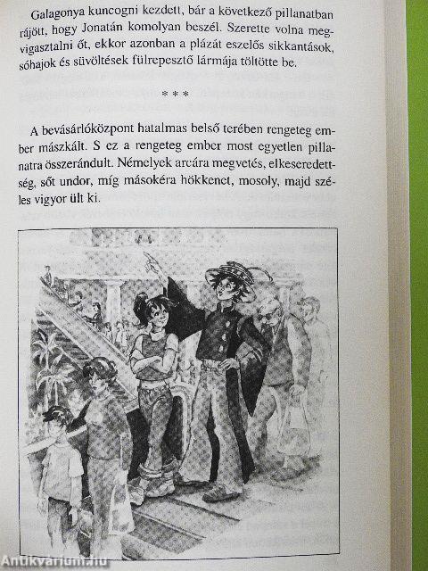 Az elveszett történet