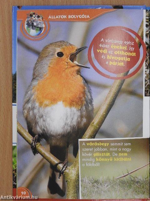 Disney Állati Szafari 69.