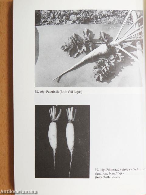 Zöldségkülönlegességek