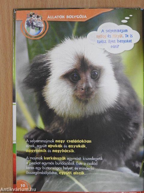 Disney Állati Szafari 7.