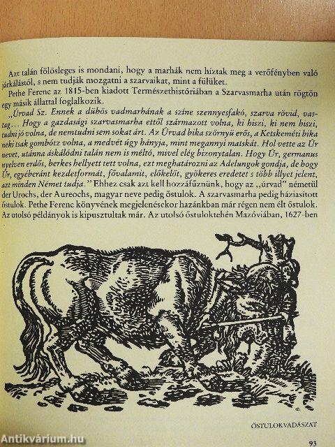 Legendák állatvilága